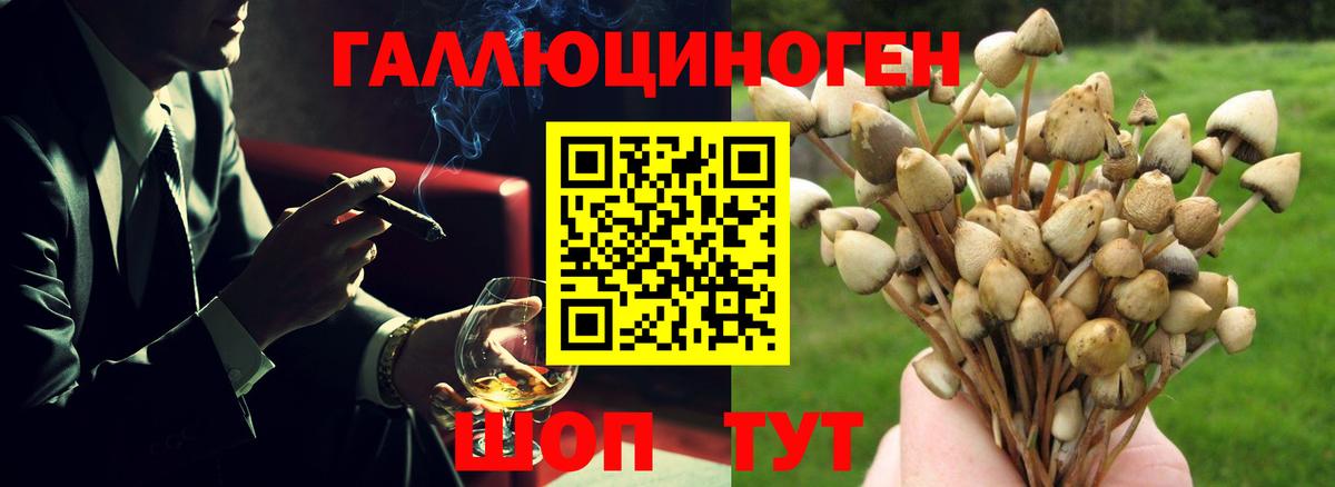 Галлюциногенные грибы ЛСД  Вход с VPN  Псилоцибиновые грибы прущие грибы  Долгопрудный 