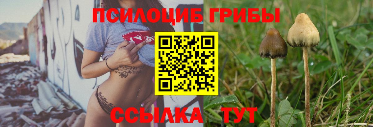 Галлюциногенные грибы ЛСД Долгопрудный